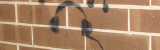 A photo I took at the Old Capital Mall on October 7th, 2011. (Sad?) Listen. 