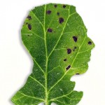 Inspired by Jenny Lee Fowler's custom leaf silhouettes (jennyleefowler.com). My leaf was digitally created but her's are actual leaves. Pretty neat. Also note that I used a tomato leaf infected with blight for my portrait. ;) 