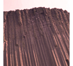 Devil's Tower (Wyoming)