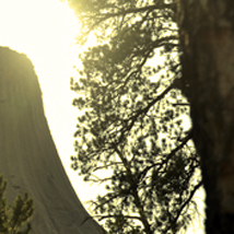 Devil's Tower (Wyoming)