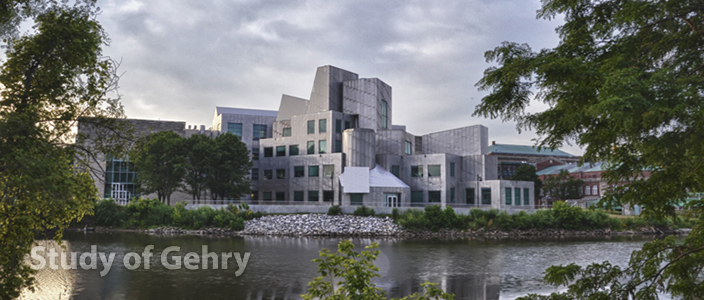 A Study of Gehry.